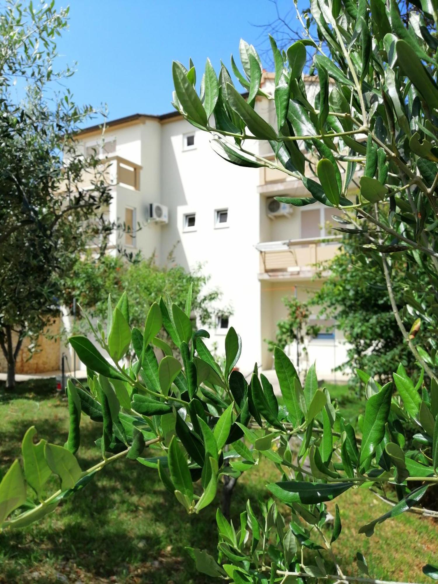 Apartments Monika Nin Eksteriør bilde