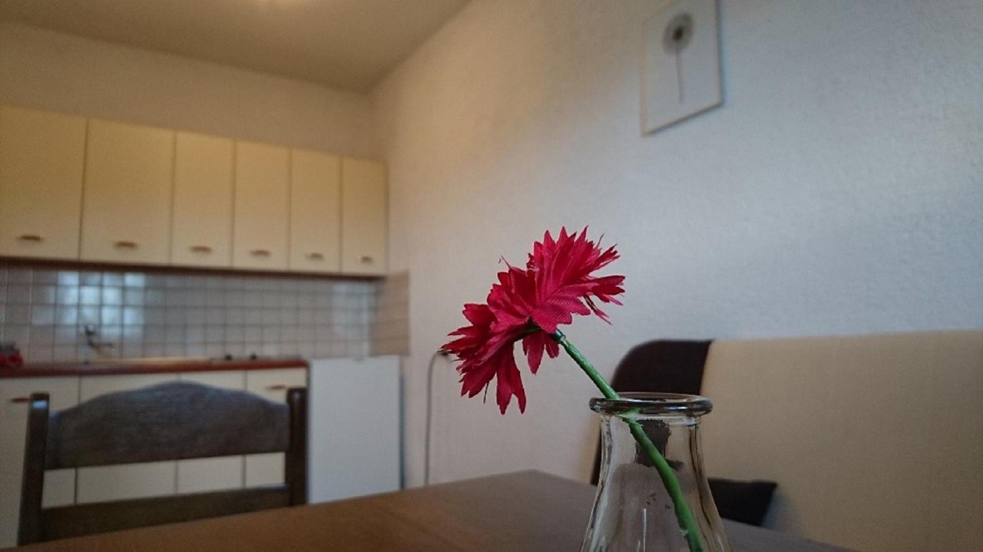 Apartments Monika Nin Eksteriør bilde
